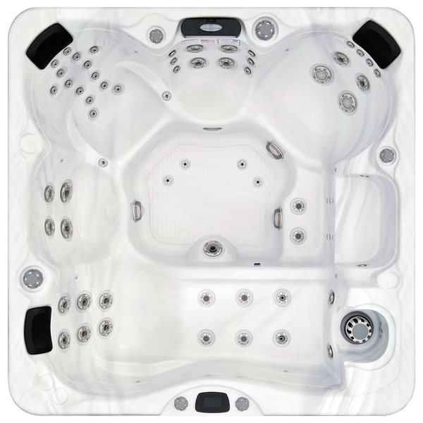 Avalon-X EC-867LX hot tubs for sale in Hanford